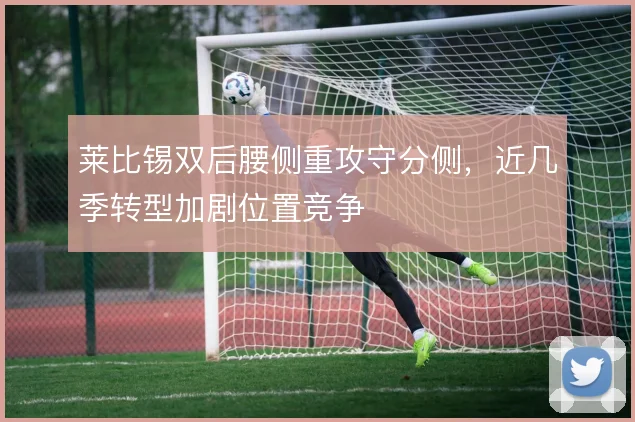 莱比锡双后腰侧重攻守分侧，近几季转型加剧位置竞争