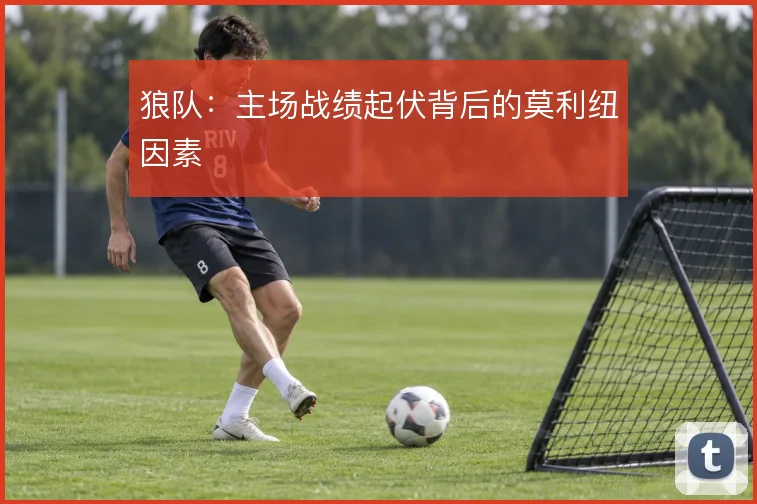 狼队：主场战绩起伏背后的莫利纽因素